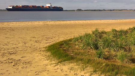 Fundbild der Gruppe Deichschafjäger