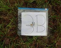 Fundbild der Gruppe Die Hardberger-Plastik-Piraten