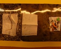 Fundbild der Gruppe DIE WOLPERTINGER