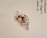 Fundbild der Gruppe Pirates of the Mümling