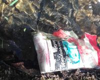 Fundbild der Gruppe Gesamtschule Eifel Experimente-AG