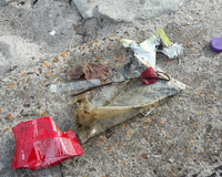 Fundbild der Gruppe Die Strandstaubsauger