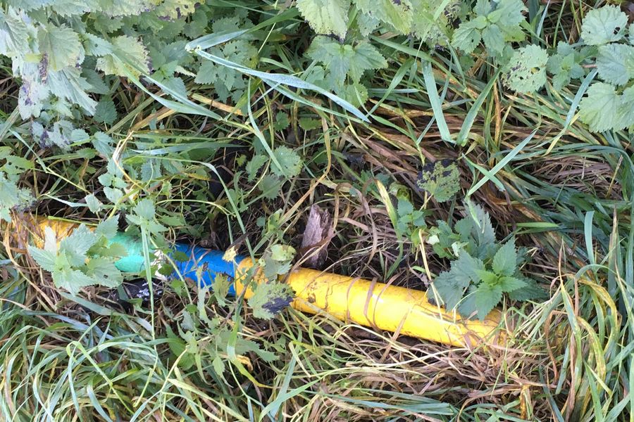 Fundbild der Gruppe Die Wilde 19 von der Lore-Lorentz-Schule