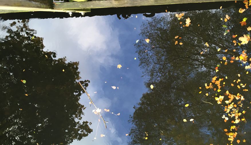 Fundbild der Gruppe Klasse 5a