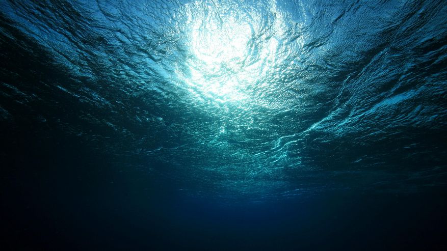 Meeresoberfläche von unten