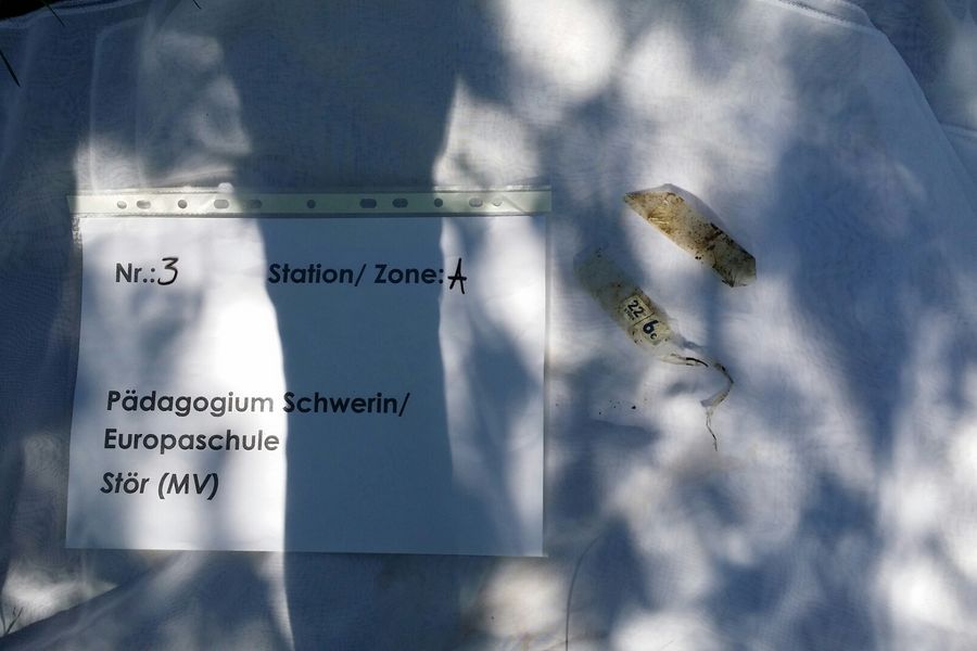 Fundbild der Gruppe Naturforscherklasse