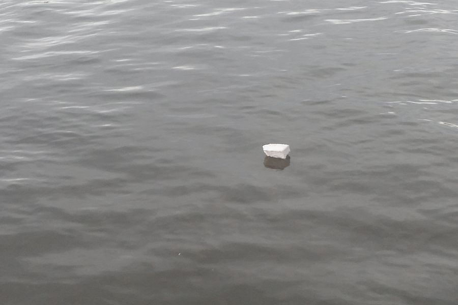 Fundbild der Gruppe CJD-Müllschlucker