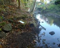 Fundbild der Gruppe VBS Nidda-Forscher