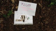 Fundbild der Gruppe FLUM