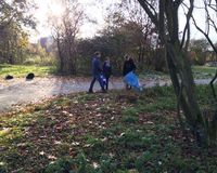 Fundbild der Gruppe Gifhorner Plastikhelden Gruppe 1