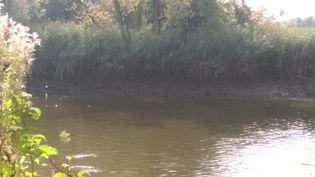 Fundbild der Gruppe Die Überflüssigen