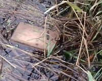 Fundbild der Gruppe TrashBusters