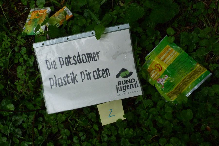 Fundbild der Gruppe Potsdamer Plastik Piraten