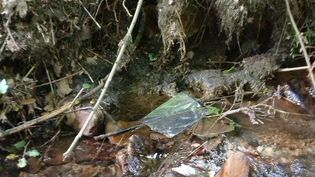 Fundbild der Gruppe BNS "Das N-Team"