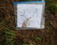 Fundbild der Gruppe Die Hardberger-Plastik-Piraten