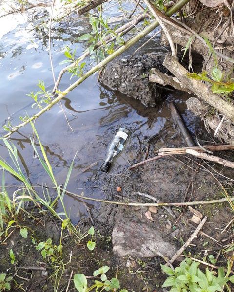 Fundbild der Gruppe WU "Biologie in freier Natur" - WvO Dillenburg