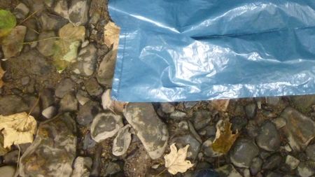 Fundbild der Gruppe TEAM SPREE FCS