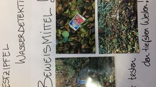 Fundbild der Gruppe Westzipfel Wasserpiraten