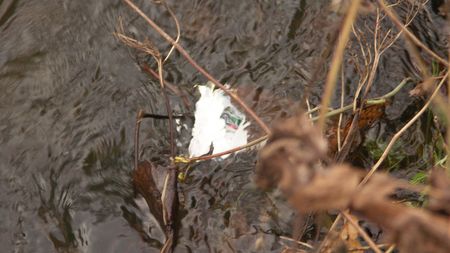 Fundbild der Gruppe Querfeldein Biologen am SFS Olpe