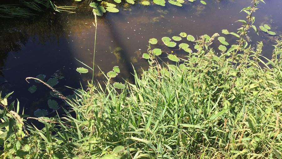 Fundbild der Gruppe JNG 7D