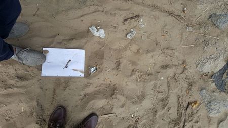 Fundbild der Gruppe Elbpiraten_HH