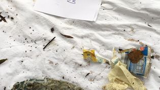 Fundbild der Gruppe CopGym R(h)ein aus Plastik