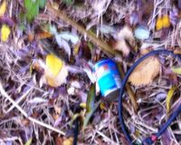 Fundbild der Gruppe Plastic busters