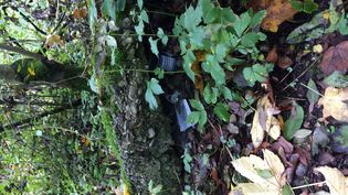 Fundbild der Gruppe Günzpiraten