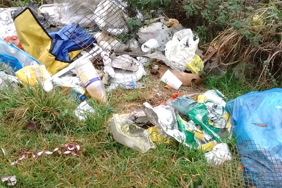 Fundbild der Gruppe Gesamtschule Aldenhoven-Linnich