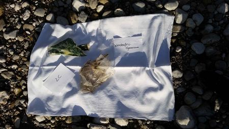 Fundbild der Gruppe PLASTICBUSTERS