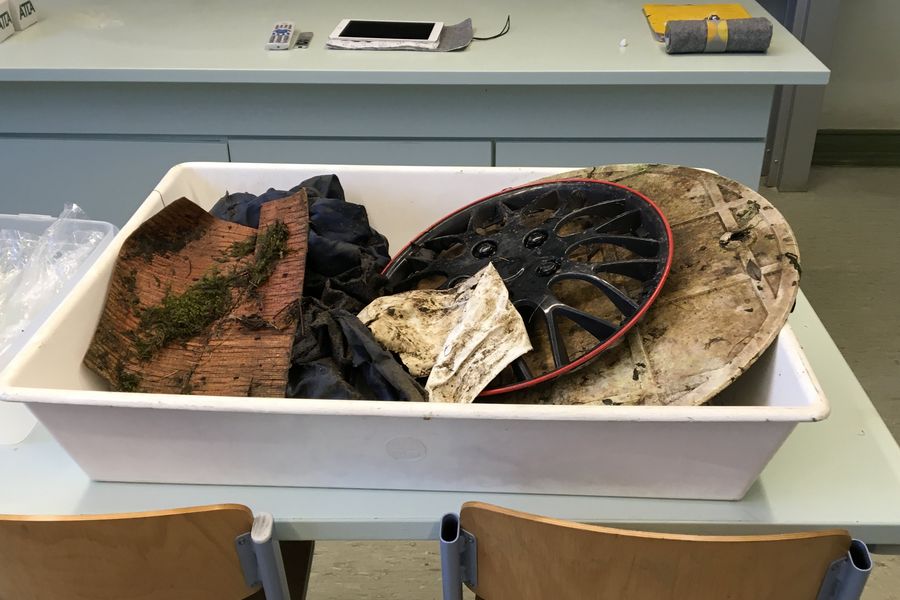 Fundbild der Gruppe NaWis Dingelstädt