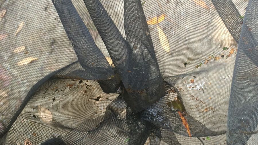 Fundbild der Gruppe Krückauläufer2