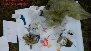 Fundbild der Gruppe Projektkurs Geographie OHG