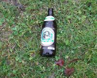 Fundbild der Gruppe Ninezedstars