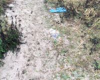 Fundbild der Gruppe Albinus-Gemeinschaftsschule Lauenburg