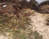 Fundbild der Gruppe Albinus-Gemeinschaftsschule Lauenburg