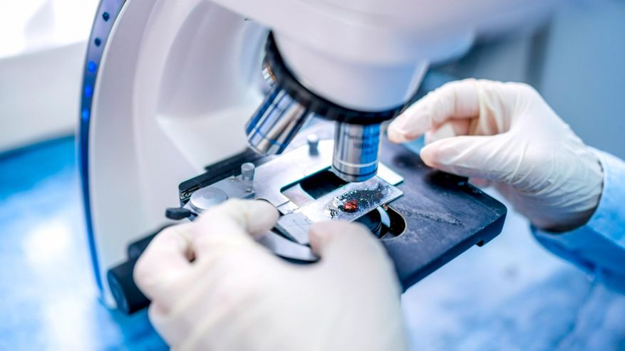 Hände arbeiten am Mikroskop