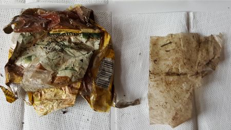 Fundbild der Gruppe Die Plastikologen