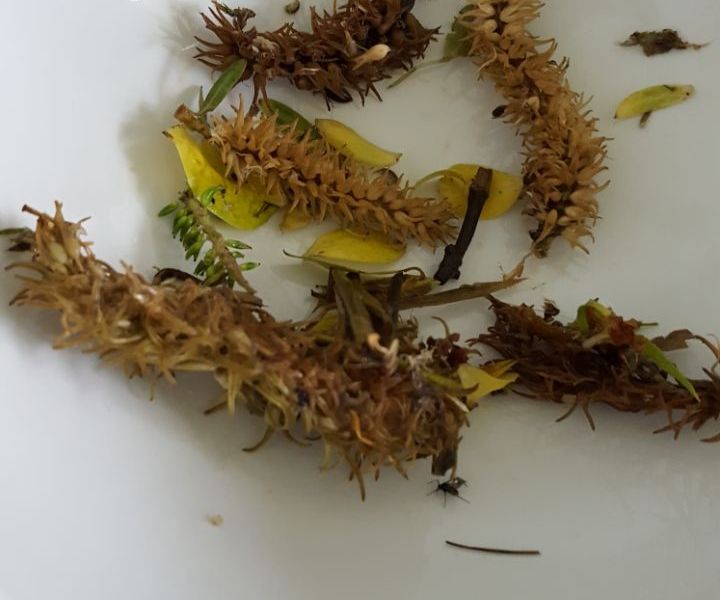 Fundbild der Gruppe Gymnasium Stolzenau