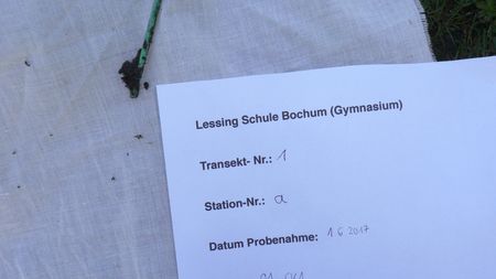 Fundbild der Gruppe Q1 Biologie Lessing Schule