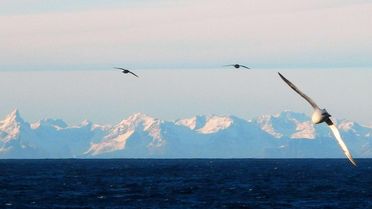 Foto der ostgrönländischen Küste, die voller schnee- und eisbedeckter Bergketten ist