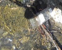 Fundbild der Gruppe Gesamtschule Eifel Experimente-AG