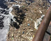 Fundbild der Gruppe Ergänzungsuntersuchung der Schäfchen (Max-Delbrück-Gymnasium)