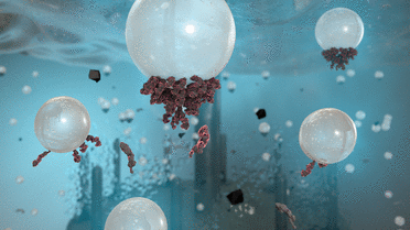 Foto von Bakterien, die aus bioaktiven Stoffen gewonnen werden