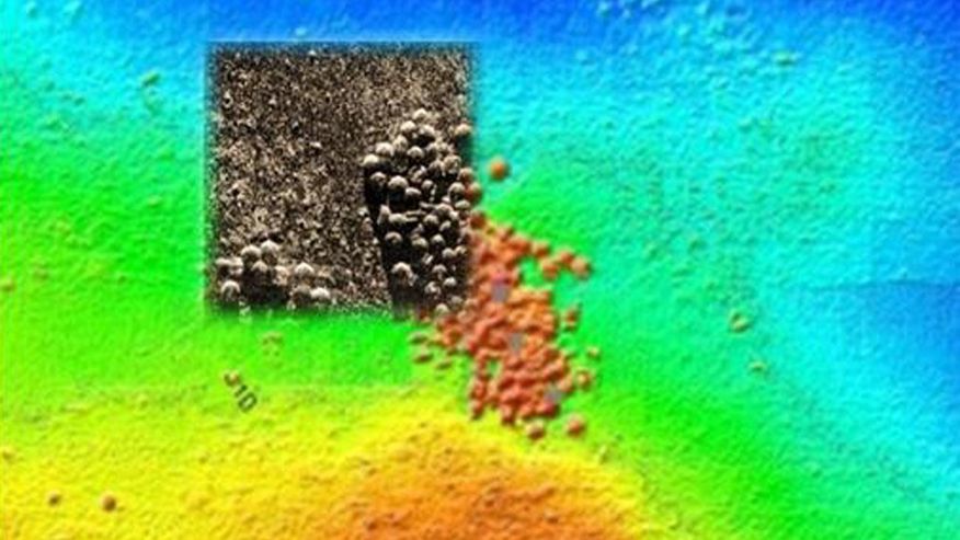 Foto von Seeminen auf dem Meeresgrund