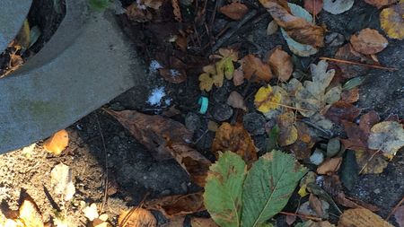 Fundbild der Gruppe Der Reinigungstrupp