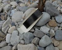 Fundbild der Gruppe Grünschnäbel