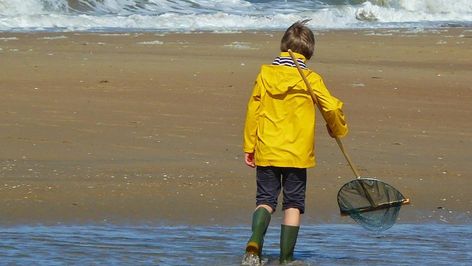 Ein Kind steht mit einem Kescher am Strand.