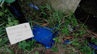 Fundbild der Gruppe 9c FBG Schwerte