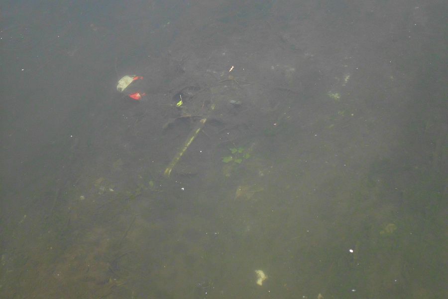 Fundbild der Gruppe Verdeckte Ermittler